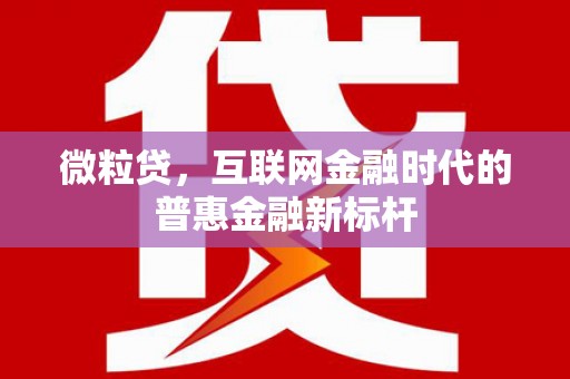 玄武微粒贷，互联网金融时代的普惠金融新标杆