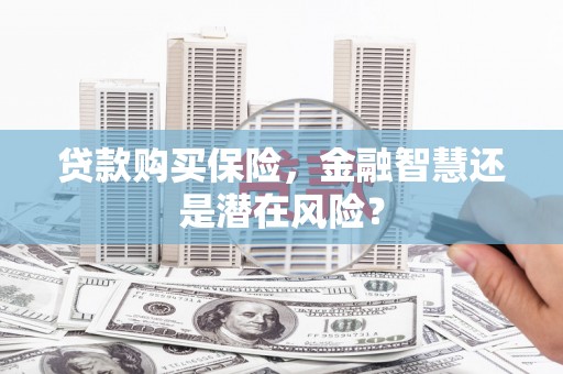 玄武贷款购买保险，金融智慧还是潜在风险？
