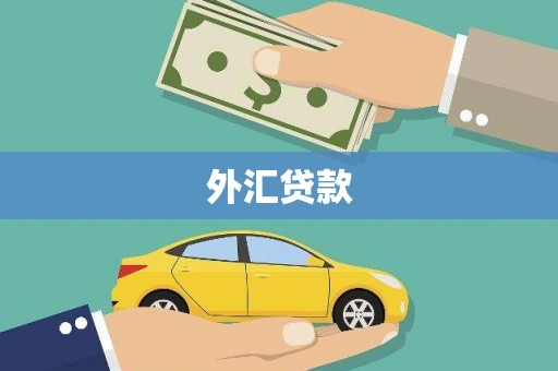 玄武外汇贷款