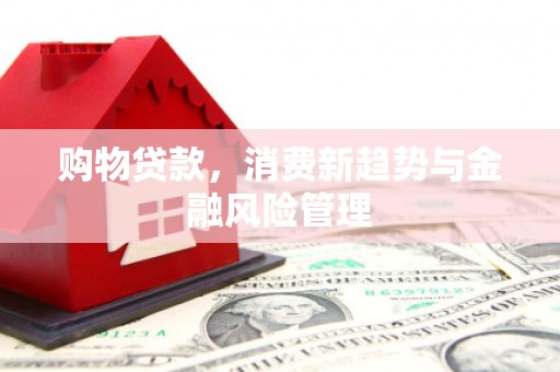 玄武购物贷款，消费新趋势与金融风险管理