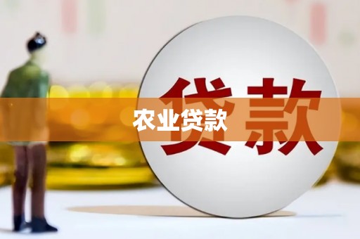 玄武农业贷款