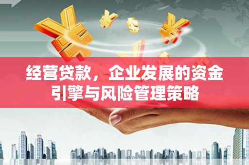 玄武经营贷款，企业发展的资金引擎与风险管理策略