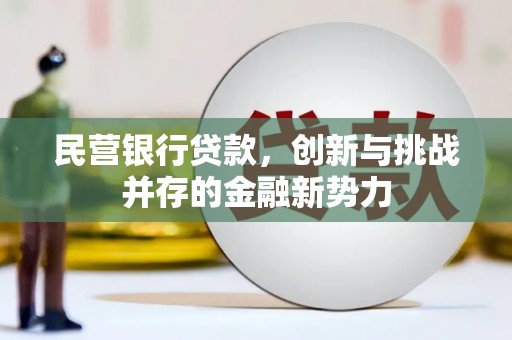 玄武民营银行贷款，创新与挑战并存的金融新势力