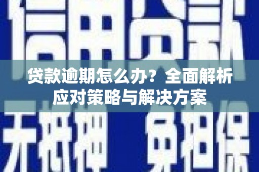 玄武贷款逾期怎么办？全面解析应对策略与解决方案