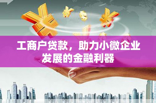 玄武工商户贷款,助力小微企业发展的金融利器 玄武工商户贷款,助力小微企业发展的金融利器