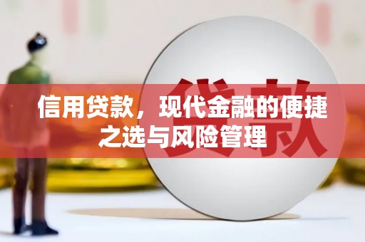 玄武信用贷款，现代金融的便捷之选与风险管理