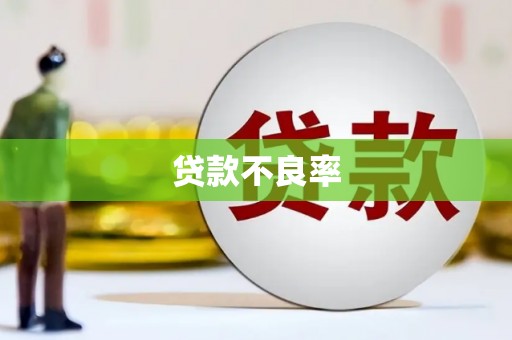 玄武贷款不良率