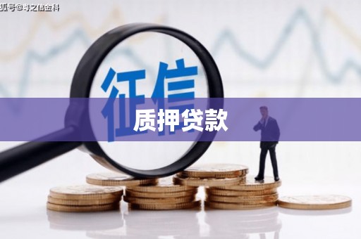 玄武质押贷款