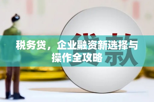 玄武税务贷，企业融资新选择与操作全攻略