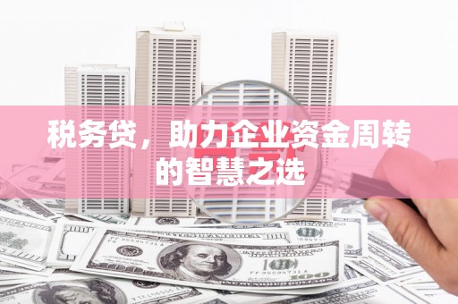 玄武税务贷，助力企业资金周转的智慧之选
