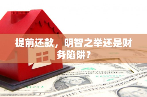 玄武提前还款，明智之举还是财务陷阱？