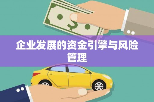 玄武企业发展的资金引擎与风险管理