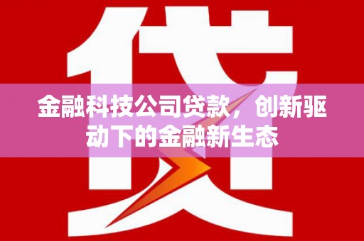 玄武金融科技公司贷款，创新驱动下的金融新生态
