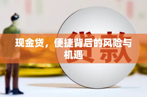 玄武现金贷，便捷背后的风险与机遇