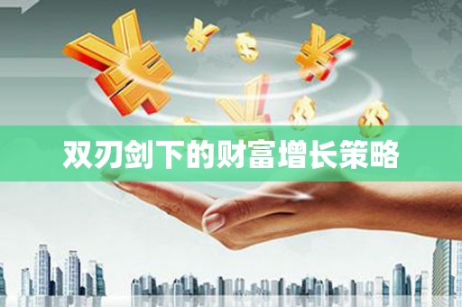 玄武双刃剑下的财富增长策略