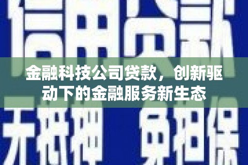 玄武金融科技公司贷款，创新驱动下的金融服务新生态