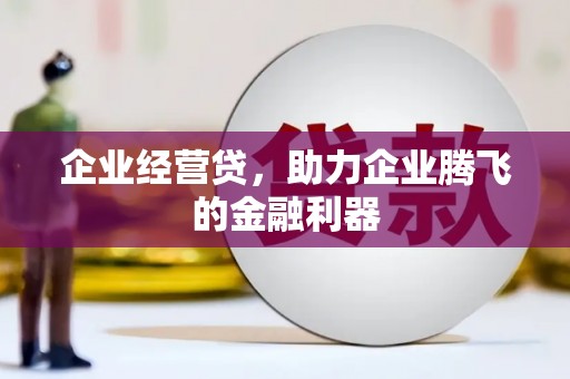 玄武企业经营贷，助力企业腾飞的金融利器