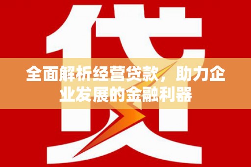 玄武全面解析经营贷款，助力企业发展的金融利器