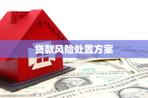 玄武贷款风险处置方案