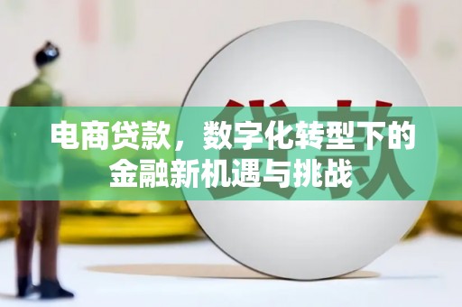 玄武电商贷款，数字化转型下的金融新机遇与挑战