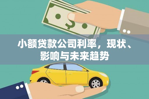 玄武小额贷款公司利率，现状、影响与未来趋势
