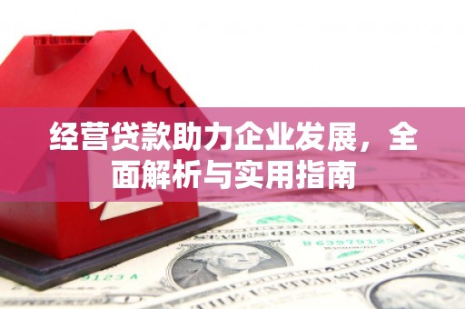 玄武经营贷款助力企业发展，全面解析与实用指南