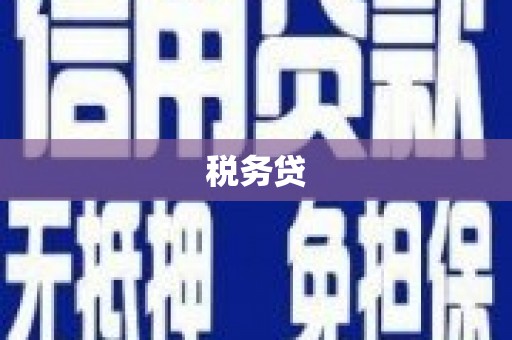 玄武税务贷
