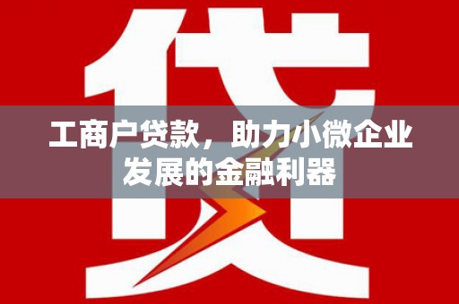 玄武工商户贷款，助力小微企业发展的金融利器