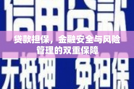 玄武贷款担保，金融安全与风险管理的双重保障