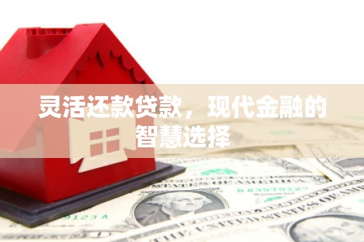 玄武灵活还款贷款，现代金融的智慧选择