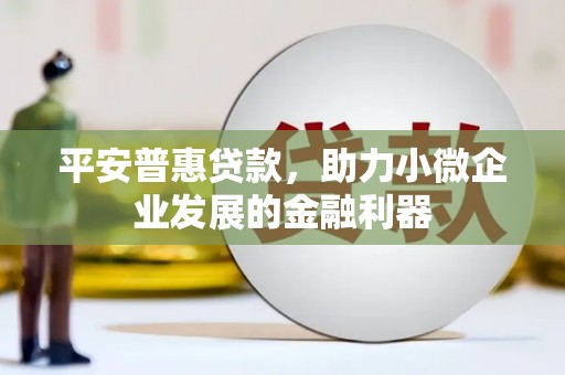玄武平安普惠贷款，助力小微企业发展的金融利器