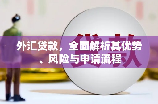 玄武外汇贷款，全面解析其优势、风险与申请流程