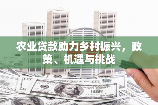 玄武农业贷款助力乡村振兴，政策、机遇与挑战