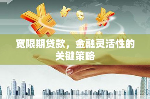 玄武宽限期贷款，金融灵活性的关键策略