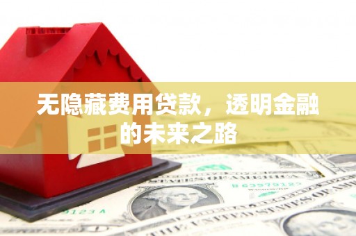玄武无隐藏费用贷款，透明金融的未来之路