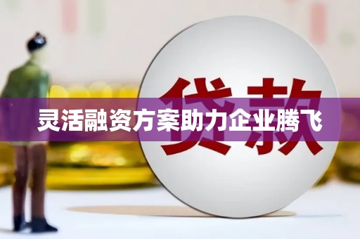 玄武灵活融资方案助力企业腾飞