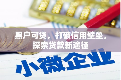 玄武黑户可贷，打破信用壁垒，探索贷款新途径