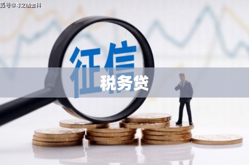 玄武税务贷