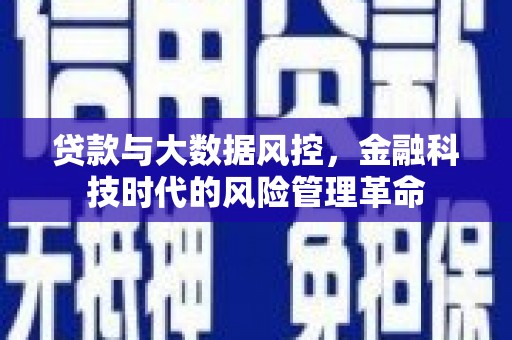 玄武贷款与大数据风控，金融科技时代的风险管理革命