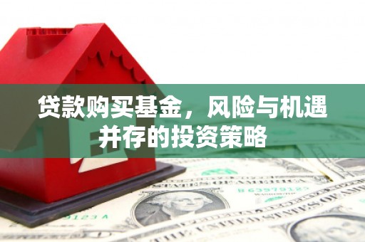 玄武贷款购买基金，风险与机遇并存的投资策略