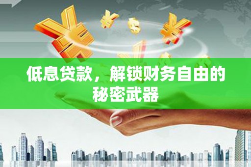 玄武低息贷款，解锁财务自由的秘密武器
