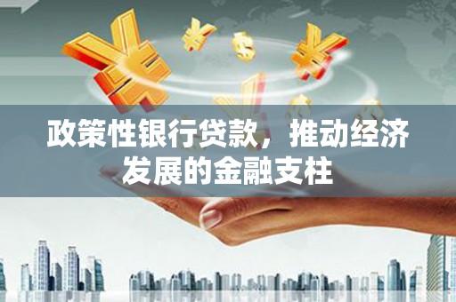 玄武政策性银行贷款，推动经济发展的金融支柱