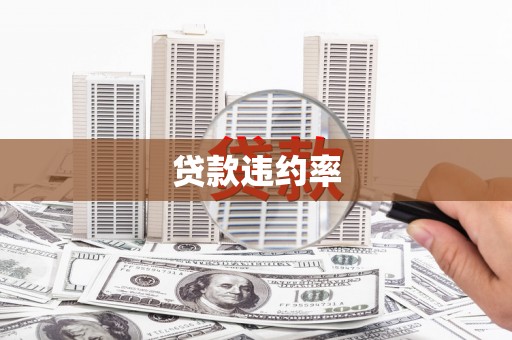 玄武贷款违约率