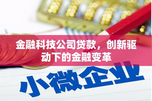 玄武金融科技公司贷款，创新驱动下的金融变革