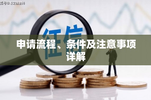 玄武申请流程、条件及注意事项详解