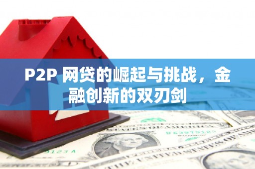 玄武P2P 网贷的崛起与挑战，金融创新的双刃剑
