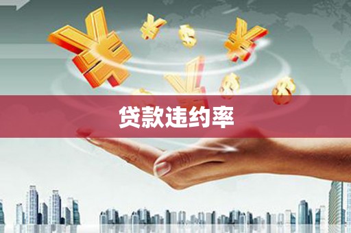 玄武贷款违约率