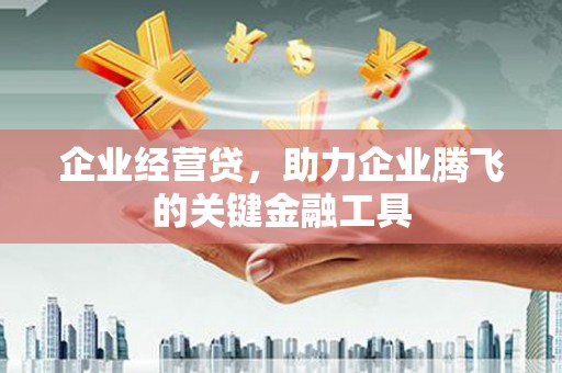 玄武企业经营贷，助力企业腾飞的关键金融工具