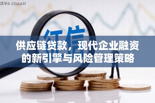 玄武供应链贷款，现代企业融资的新引擎与风险管理策略