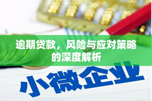 玄武逾期贷款，风险与应对策略的深度解析